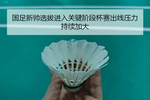 国足新帅选拔进入关键阶段杯赛出线压力持续加大
